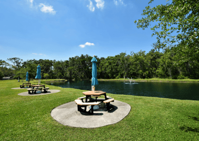 Community Park with Picnic Tables